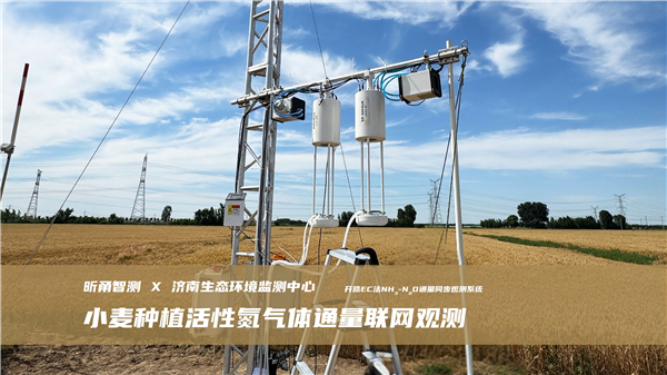 小麦种植活性氮气体通量联网测试：精准监测助力农业碳中和