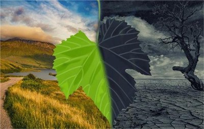 海尔欣氨气开路分析仪助力济南生态环境监测中心农田气体排放监测