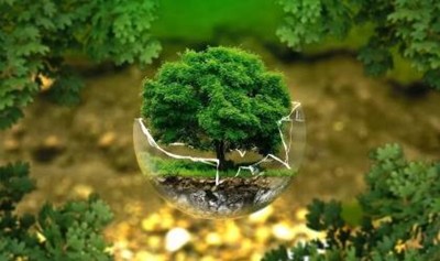 世界地球日：我们可以为地球做什么呢？