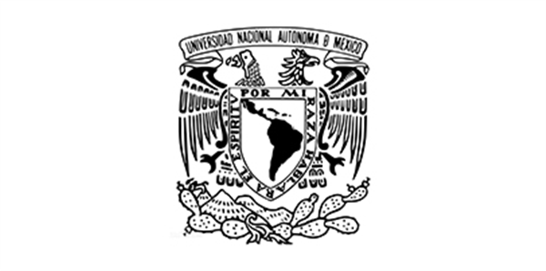 大学