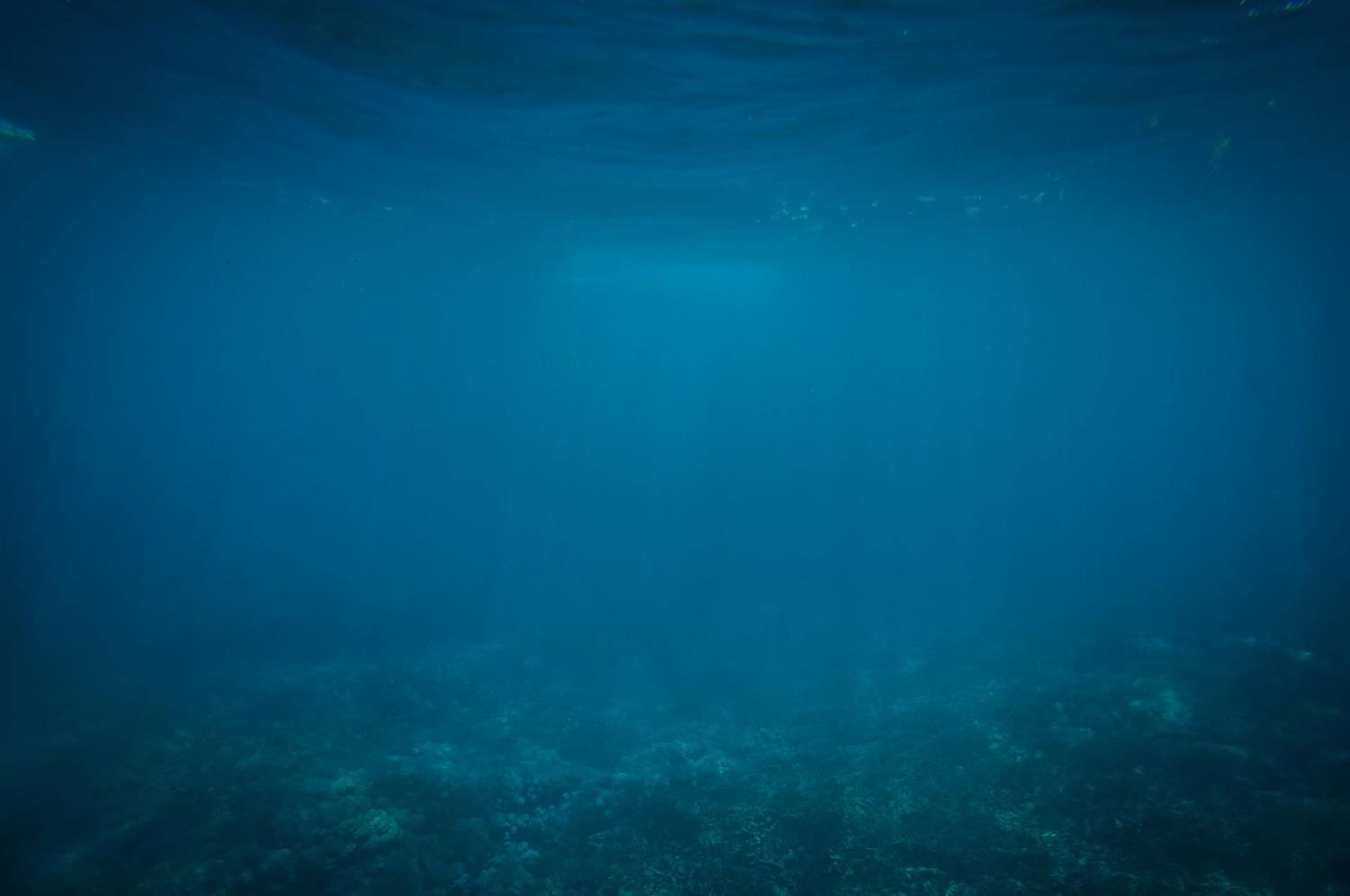 探测溶于水的二氧化碳浓度，可以探勘存在于表层海床的可燃冰