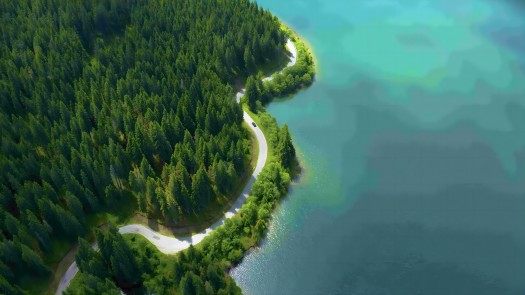 aerial-view-winding-road-surrounded-by-ocean-pine-tree-forest(1)(1).jpg